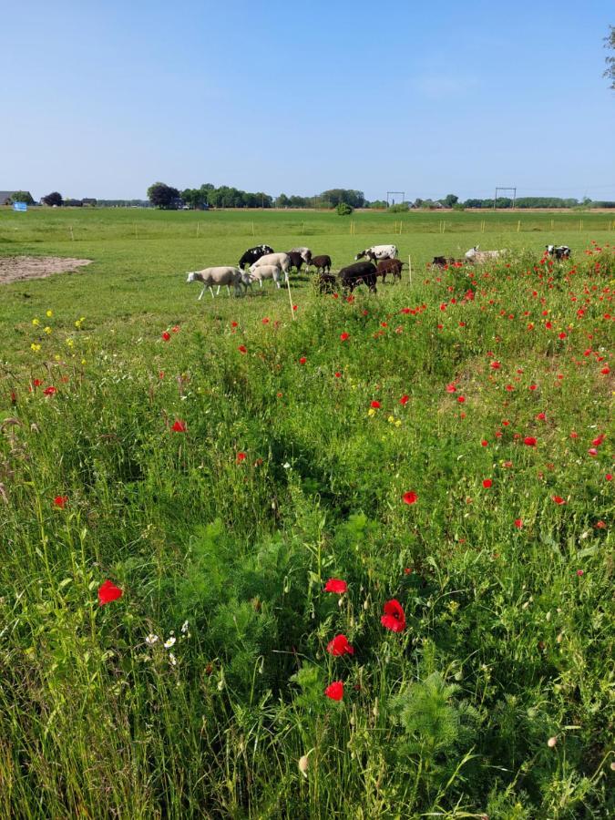 Boerderijkamer De Delle Wijhe 외부 사진